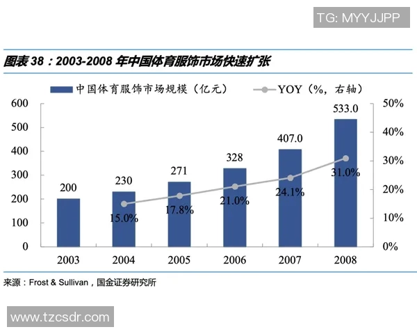 体育表演赛商业价值的多维度探索与市场潜力深度分析