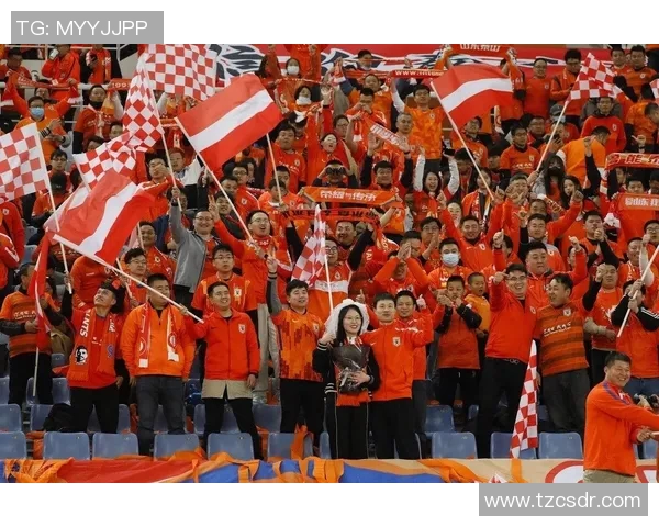 球迷在看台上表白成功，现场掌声雷动