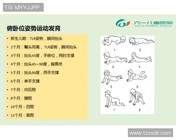 体能训练流程全公开助你科学高效提升运动表现与健康水平