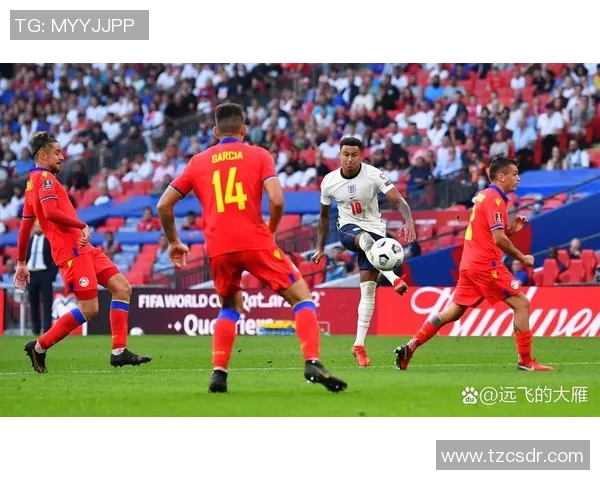 世界杯因违规行为遭罚款并停赛严重处罚引发广泛关注